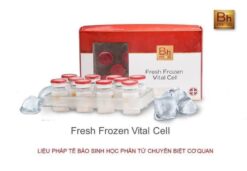 FRESH FROZEN VITAL CELL (FFVC)
